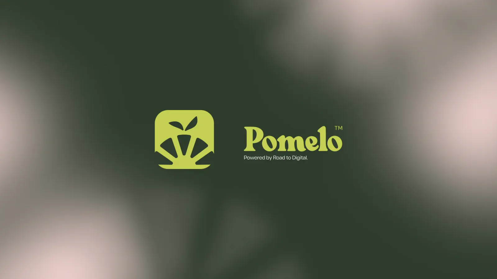 Pomelo: capa do case de Desenvolvimento de Produto
